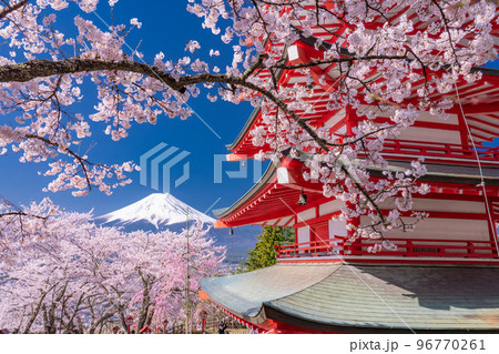 《山梨県》富士山と五重塔と満開の桜・春の新倉山浅間公園 96770261