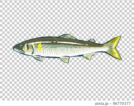 鮎 鮎 96770377