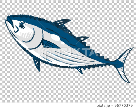 カツオ 96770379
