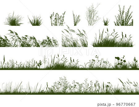 Set of horizontal banners of meadow silhouettes with grass. Vector illustration 96770667