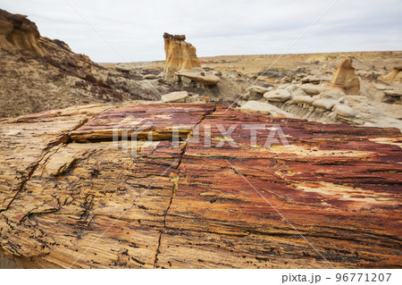 Petrified forest Petrified forest 96771207