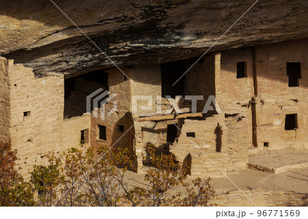 Mesa Verde Mesa Verde 96771569