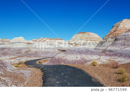 Petrified forest park Petrified forest park 96771599
