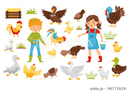 Girls Farmer in Boots Feeding Poultry with Grain on the Yard Big Vector Set Girls Farmer in Boots Feeding Poultry with Grain on the Yard Big Vector Set 96771628