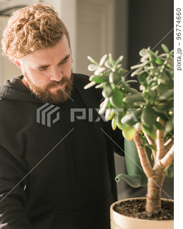 Man watering succulent houseplant by watering can at home - housework and care plant concept 96774660