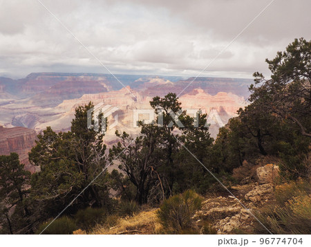 grand canyon national park south rim. high quality photo. grand canyon national park south rim. high quality photo. 96774704