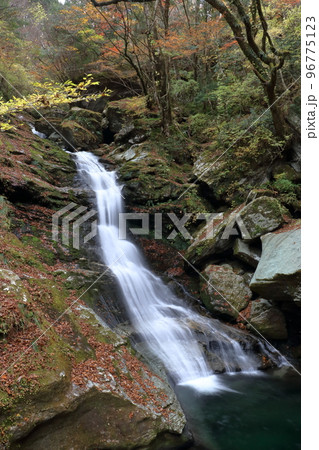 晩秋の滝　瀬戸川渓谷　（高知県　土佐町　蛇渕の滝） 96775123