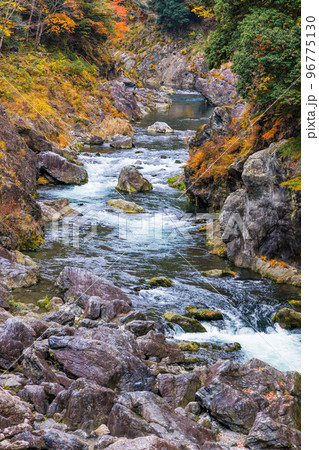 東京、奥多摩の綺麗な紅葉の景色 96775130