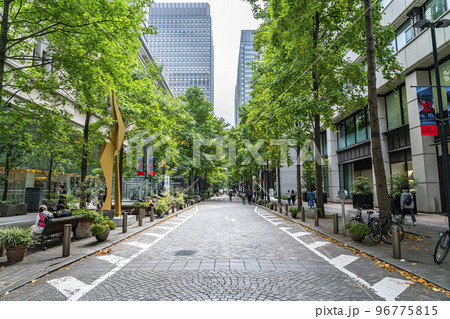 【東京都】街路樹の緑が綺麗な丸の内仲通り 96775815