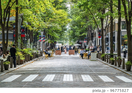 【東京都】街路樹の緑が綺麗な丸の内仲通り 【東京都】街路樹の緑が綺麗な丸の内仲通り 96775827