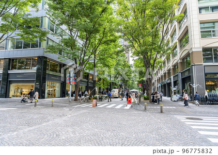 【東京都】街路樹の緑が綺麗な丸の内仲通り 96775832
