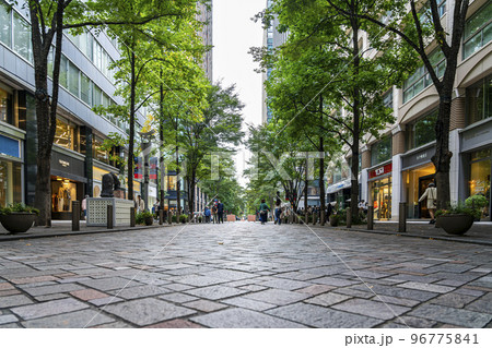 【東京都】街路樹の緑が綺麗な丸の内仲通り 96775841