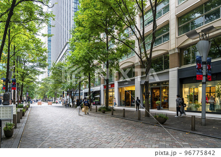 【東京都】街路樹の緑が綺麗な丸の内仲通り 96775842