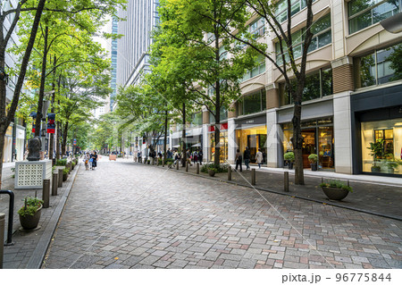 【東京都】街路樹の緑が綺麗な丸の内仲通り 【東京都】街路樹の緑が綺麗な丸の内仲通り 96775844