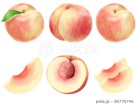 水彩で表現した桃のイラストセット 96776746