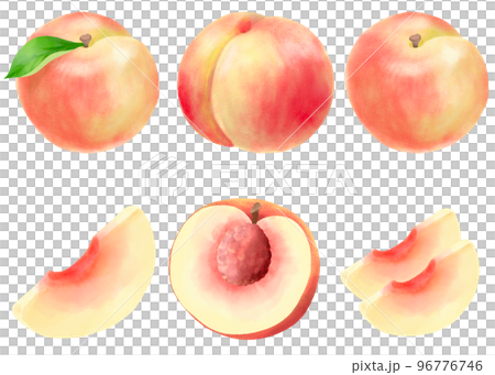 Peach illustration set expressed in watercolor Peach illustration set expressed in watercolor 96776746