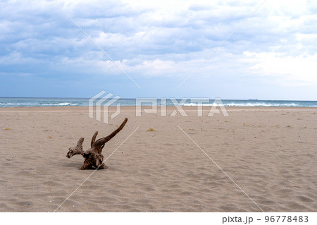 曇天の広大な海岸 96778483