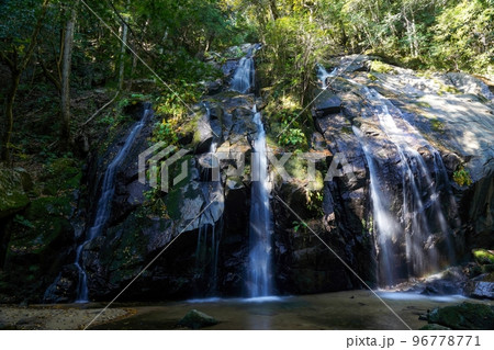 木漏れ日浴びて輝く金引きの滝@京都 木漏れ日浴びて輝く金引きの滝@京都 96778771