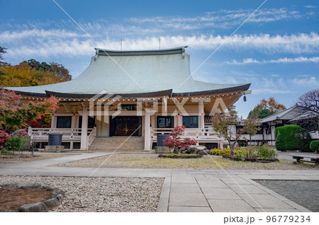 秋の豪徳寺本堂 秋の豪徳寺本堂 96779234