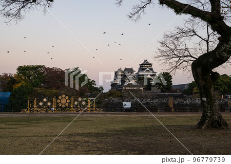 秋の夜紅葉の熊本城とライトアップとお城祭り 秋の夜紅葉の熊本城とライトアップとお城祭り 96779739