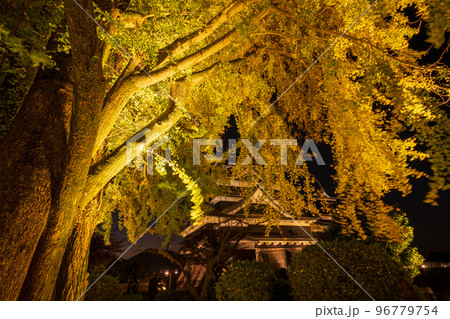 秋の夜紅葉の熊本城とライトアップとお城祭り 秋の夜紅葉の熊本城とライトアップとお城祭り 96779754