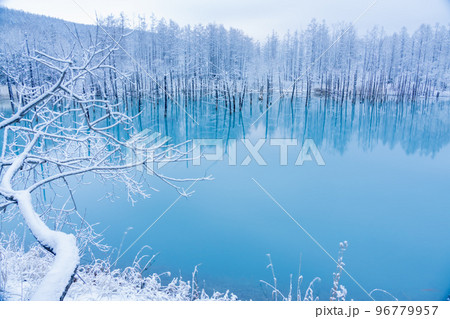 北海道の絶景　雪の積もった青い池 96779957
