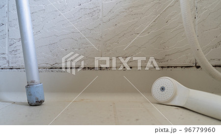 浴室の黒カビ 96779960