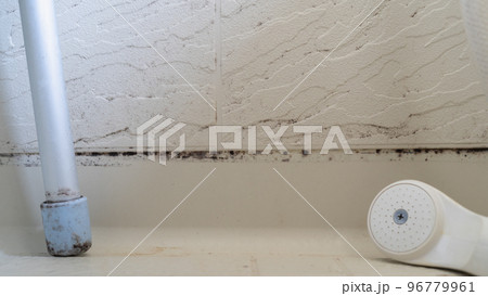 浴室の黒カビ 浴室の黒カビ 96779961