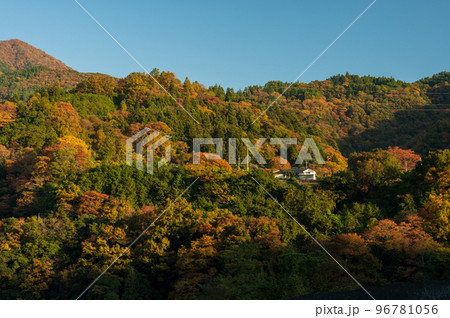 早川町の紅葉景色　朝の里山 96781056