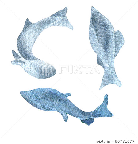 Sillhouettes salmon, trout watercolor illustration isolated on white background. Sillhouettes salmon, trout watercolor illustration isolated on white background. 96781077