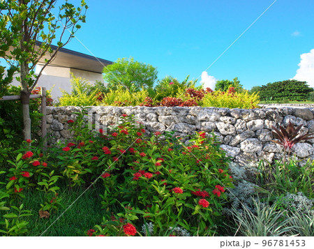 沖縄県読谷村、バンタカフェ入り口の石垣と植物 96781453
