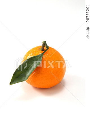 ミカン ミカン 96783204