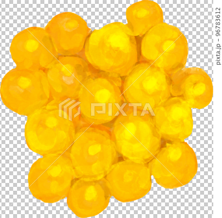 Mushroom illustration 96783612