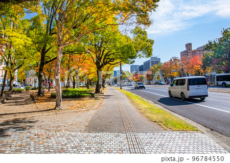 平和大通りの福島生協病院付近から平和公園方面を展望しています。紅葉した市街地風景をどうぞ。広島県 96784550