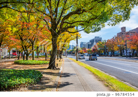 平和大通りの福島生協病院付近から平和公園方面を展望しています。紅葉した市街地風景をどうぞ。広島県 平和大通りの福島生協病院付近から平和公園方面を展望しています。紅葉した市街地風景をどうぞ。広島県 96784554