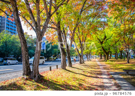 平和大通りの西平和大橋西詰から西広島駅方面を展望しています。紅葉した市街地風景をどうぞ。広島県 平和大通りの西平和大橋西詰から西広島駅方面を展望しています。紅葉した市街地風景をどうぞ。広島県 96784576