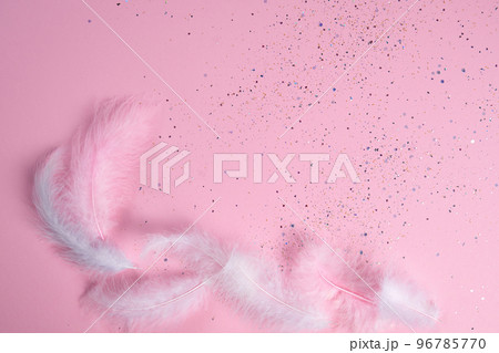 Light feathers of pastel colors on a pink background. Copy space. Flat lay.A long banner for your design. Copy space. Flat lay. Light feathers of pastel colors on a pink background. Copy space. Flat lay.A long banner for your design. Copy space. Flat lay. 96785770