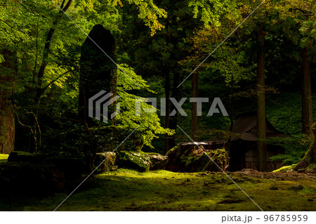 福井県吉田郡永平寺町志比 永平寺風景 福井県吉田郡永平寺町志比 永平寺風景 96785959