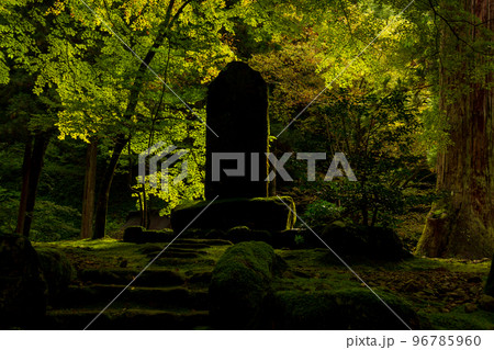 福井県吉田郡永平寺町志比 永平寺風景 福井県吉田郡永平寺町志比 永平寺風景 96785960