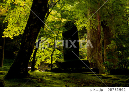 福井県吉田郡永平寺町志比 永平寺風景 福井県吉田郡永平寺町志比 永平寺風景 96785962