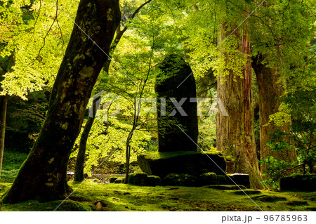 福井県吉田郡永平寺町志比　永平寺風景 96785963