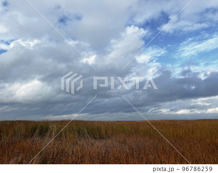 View of tall grass near the bay against clouds View of tall grass near the bay against clouds 96786259