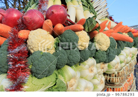大収穫祭　豊作の野菜　山盛りの野菜 96786293