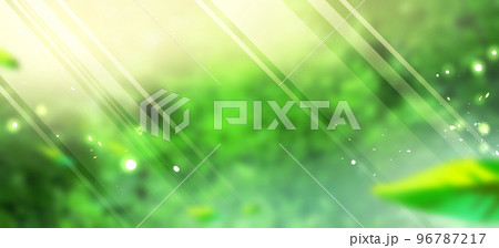 光の差し込むぼやけた新緑の背景素材  96787217
