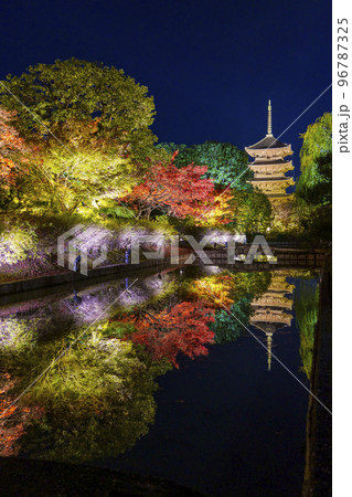 東寺の紅葉　五重塔　夜景（京都府京都市南区九条町） 96787325