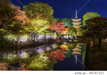 東寺の紅葉 五重塔 夜景(京都府京都市南区九条町) 東寺の紅葉 五重塔 夜景(京都府京都市南区九条町) 96787327