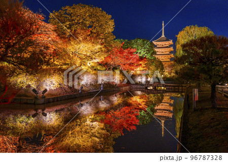 東寺の紅葉 五重塔 夜景(京都府京都市南区九条町) 東寺の紅葉 五重塔 夜景(京都府京都市南区九条町) 96787328