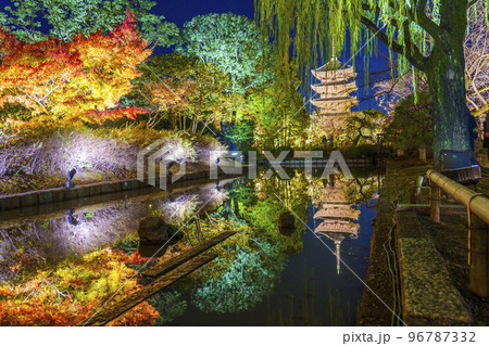 東寺の紅葉　五重塔　夜景（京都府京都市南区九条町） 96787332