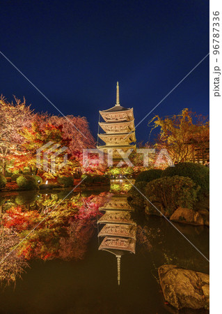 東寺の紅葉 五重塔 夜景(京都府京都市南区九条町) 東寺の紅葉 五重塔 夜景(京都府京都市南区九条町) 96787336