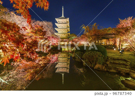 東寺の紅葉　五重塔　夜景（京都府京都市南区九条町） 96787340